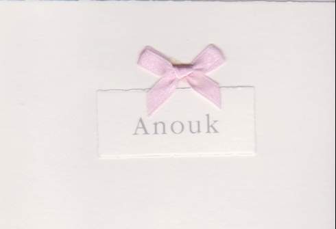 154 roze.jpg