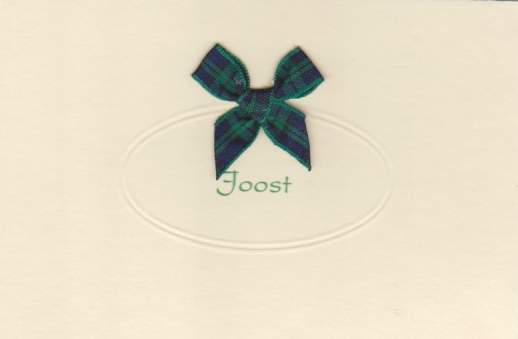 494 geruit groen-bl…